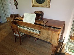 IMG_20250615_113618-0453.JPG