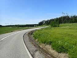 IMG_20250615_125704-0503.JPG