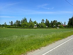 IMG_20250615_150606-0509.JPG