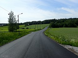 IMG_20250615_151354-0513.JPG