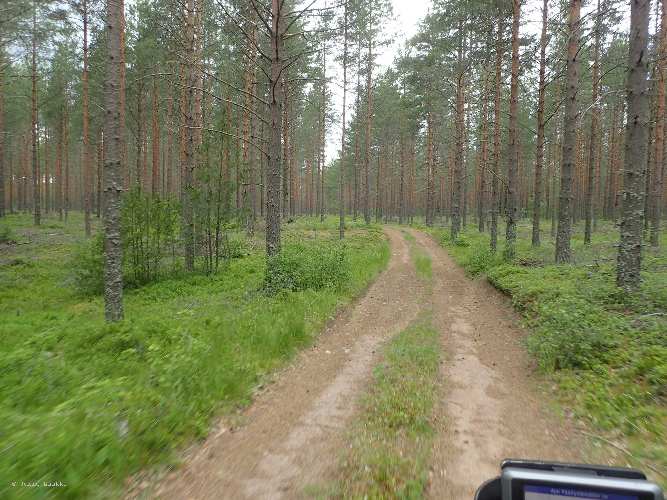 P6200754.JPG