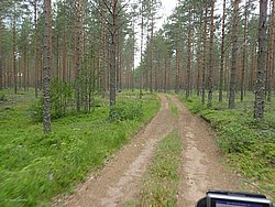 P6200754.JPG