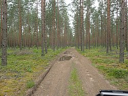 P6200756.JPG