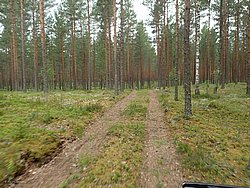 P6200757.JPG
