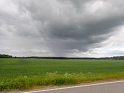 P6200759.JPG