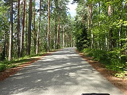 IMG_20250720_130333-0034.JPG