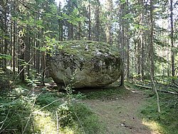 IMG_20250721_104232-0095.JPG