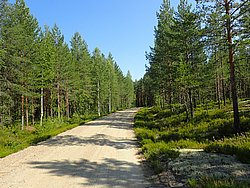 IMG_20250721_105444-0096.JPG