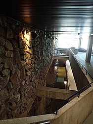 IMG_20250721_112822-0101.JPG