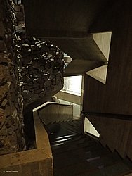 IMG_20250721_113002-0105.JPG