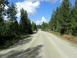 IMG_20250721_123412-0124.JPG