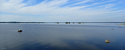 IMG_20250722_112541-0265.JPG