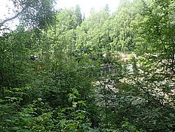 IMG_20250722_151605-0392.JPG