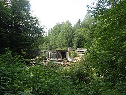 IMG_20250722_151809-0395.JPG