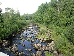 IMG_20250722_152017-0397.JPG