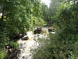 IMG_20250723_113131-0407.JPG