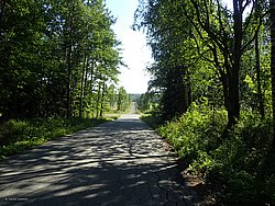IMG_20250723_163133-0461.JPG