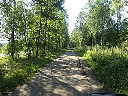 IMG_20250723_163201-0462.JPG