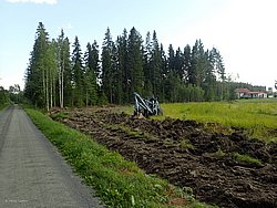 IMG_20250723_173535-0493.JPG