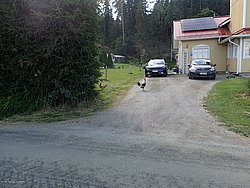 IMG_20250723_173846-0497.JPG