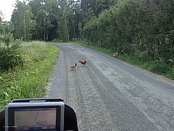 IMG_20250723_173849-0498.JPG