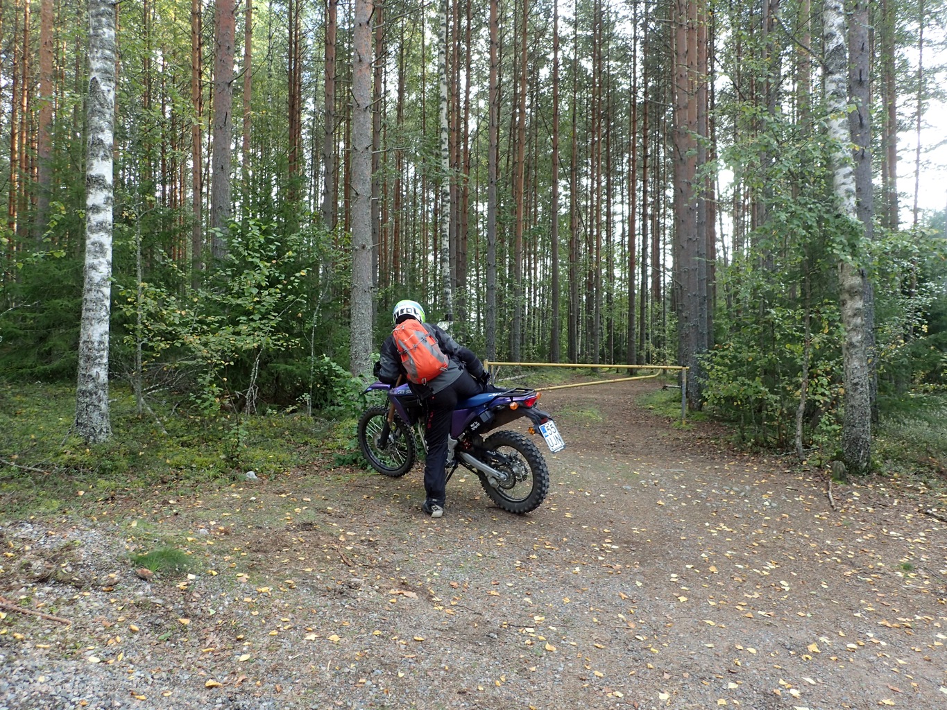 P9060523.JPG