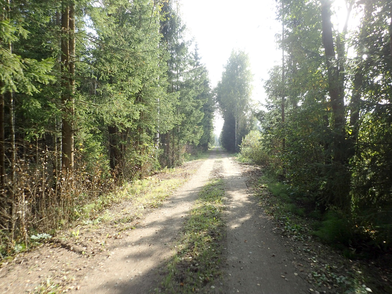 P9060534.JPG