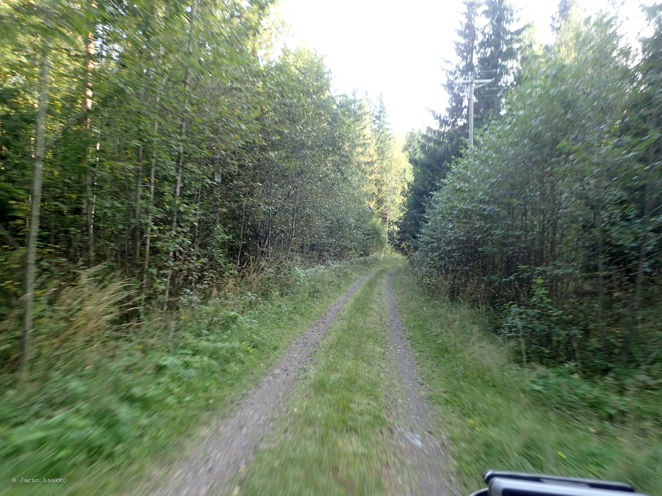 P9060538.JPG