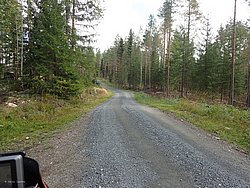 P9060511.JPG
