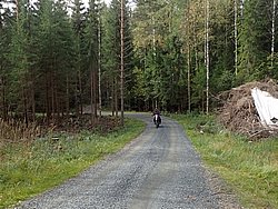 P9060513.JPG