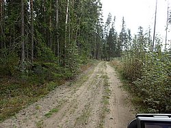 P9060515.JPG