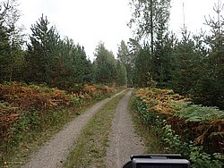 P9060516.JPG