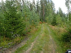 P9060526.JPG