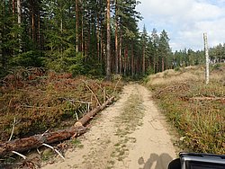 P9060527.JPG