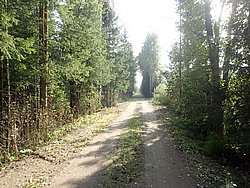 P9060534.JPG