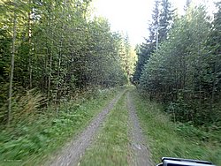 P9060538.JPG