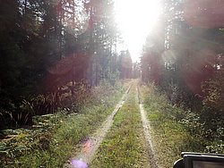 P9060539.JPG