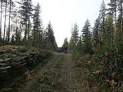 P9060546.JPG
