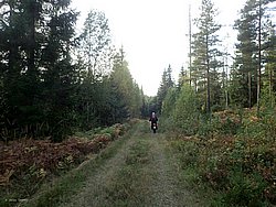 P9060547.JPG