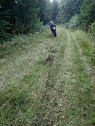 P9060551.JPG
