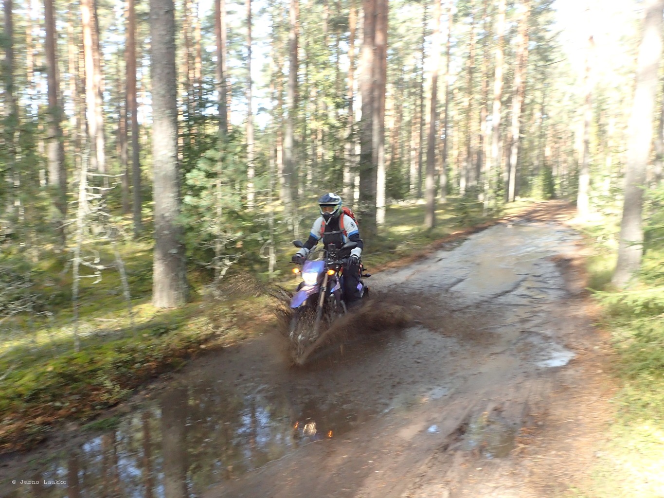 P9270593.JPG