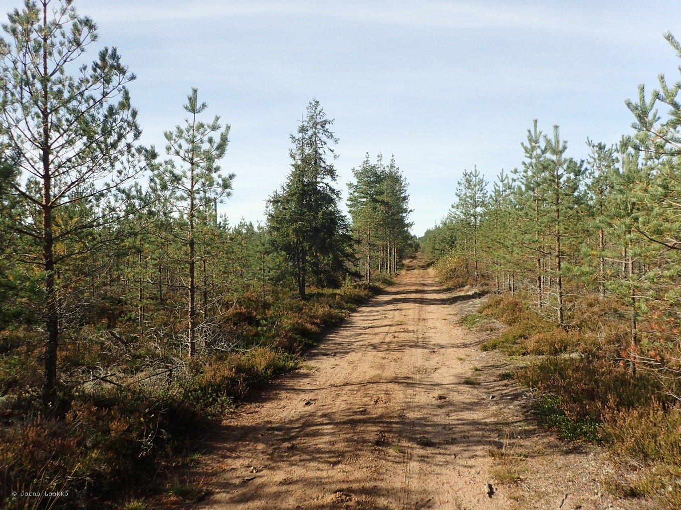 P9270616.JPG