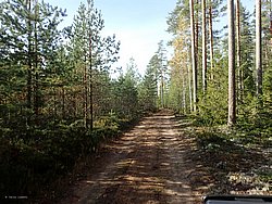 P9270611.JPG