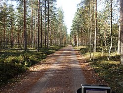 P9270615.JPG