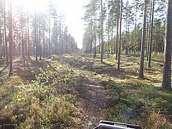 P9270694.JPG