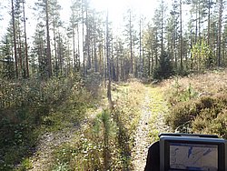 P9270698.JPG