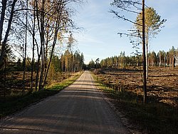 P9270729.JPG