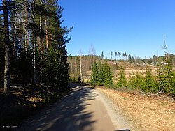 P5010391.JPG