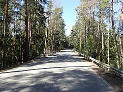P5010394.JPG