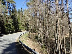 P5010396.JPG
